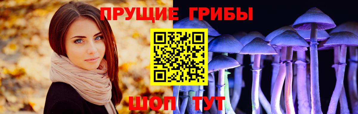 Псилоцибиновые грибы MAGIC MUSHROOMS  Вход с VPN  Псилоцибиновые грибы Psilocybe  Реж 