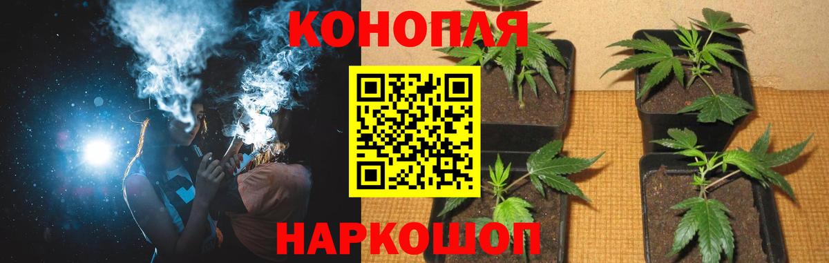 Канабис планчик  Вход с VPN  МАРИХУАНА тримм  Реж  Бошки марихуана индика 